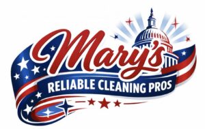 cleaning service spring hill fl