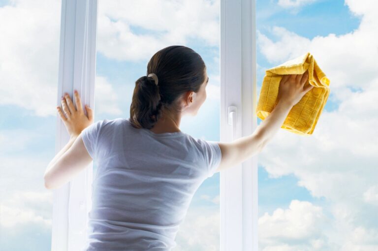 house cleaning service spring hill fl